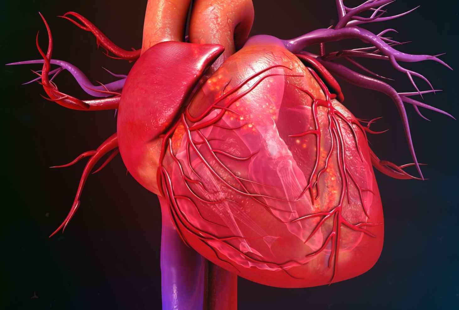 Clinical Decision-Making, Rapid Follow-Up Lead to Lower Risk of Death From Heart Failure