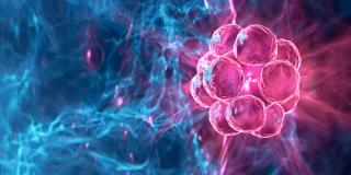 Advancing Cancer Care: The Role of Radiopharmaceuticals in Precision Medicine