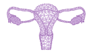 The Role of PARP Inhibitors in Treating Ovarian Cancer