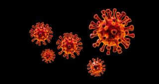 Expert: Pharmacists Play Critical Role in Vaccination, Public Health Amid Ongoing Viral Risks