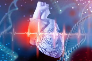 American Heart Month: A Pharmacist’s Role in Polypharmacy Management of Congestive Heart Failure Patients