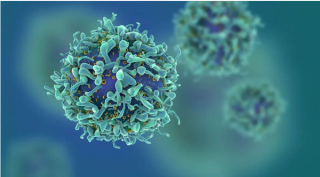 Credit: fusebulb - stock.adobe.com