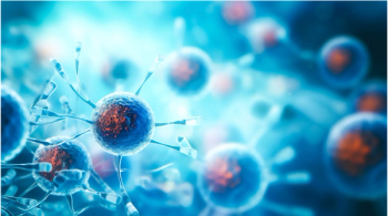 catalin - stock.adobe.com