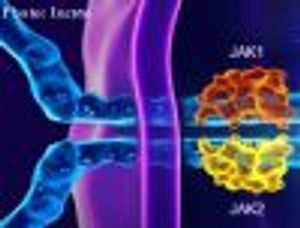 All JAKed Up and No Place to Go: A Critical Evaluation of the Role of JAK2 Inhibitors