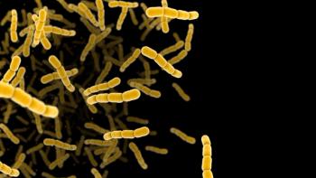 Streptococcus pneumonia bacteria cells. 3D render microscopic background with copy space - Image credit: Jezper | stock.adobe.com