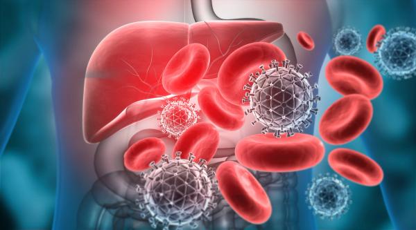 Serologic Immunity to Hepatitis A and B Remains Low Among US Adults