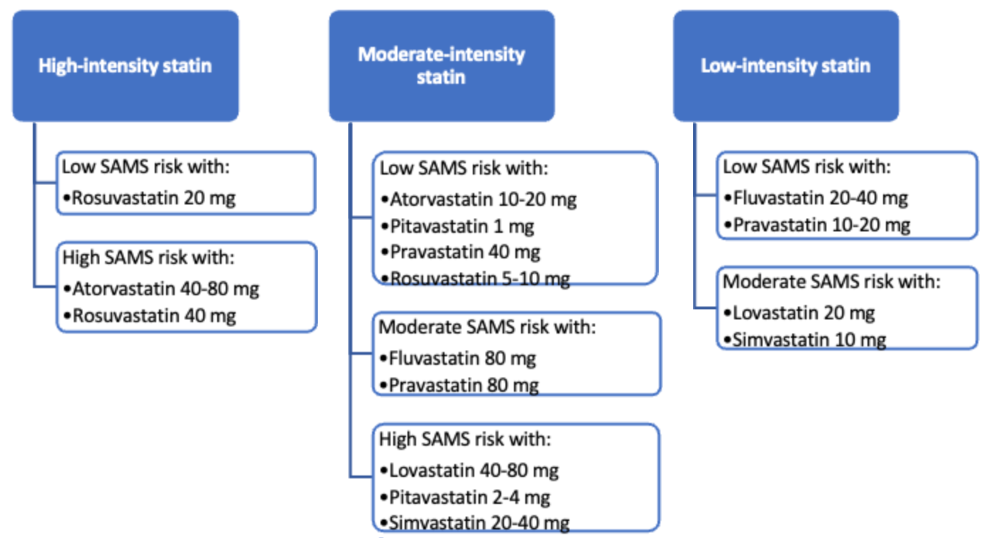 Don't Skip a Beat: Familiarize Yourself With Updates in Cardiovascular ...