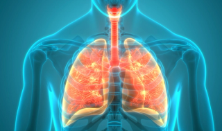 Pharmacist Medication Insights: Dupilumab for Atopic Dermatitis, Asthma