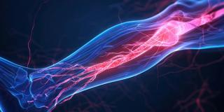 Image credit: Lila Patel | stock.adobe.com