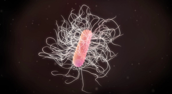 Credit: gaetan - stock.adobe.com.