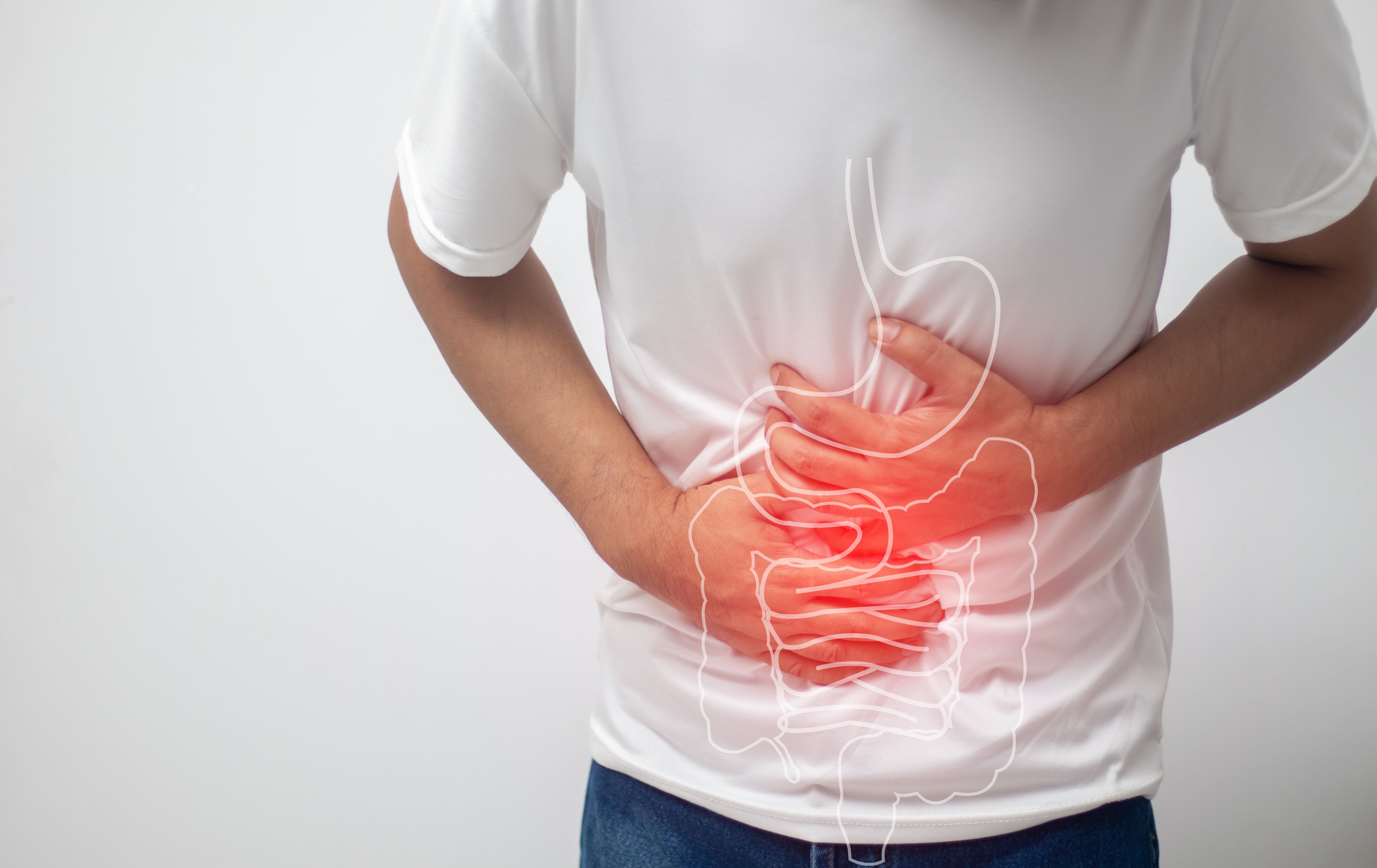 Inflammation in gut -- Image credit: vachiravit | stock.adobe.com