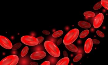 Credit: Svetlana - stock.adobe.com