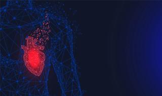 Anatomical human heart with painful area. Innovative technology in medicine, disease diagnostics concept. Organ of human cardiovascular system.