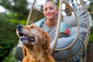 Comparative Oncology: Advances in Cancer Care from Pets to Humans