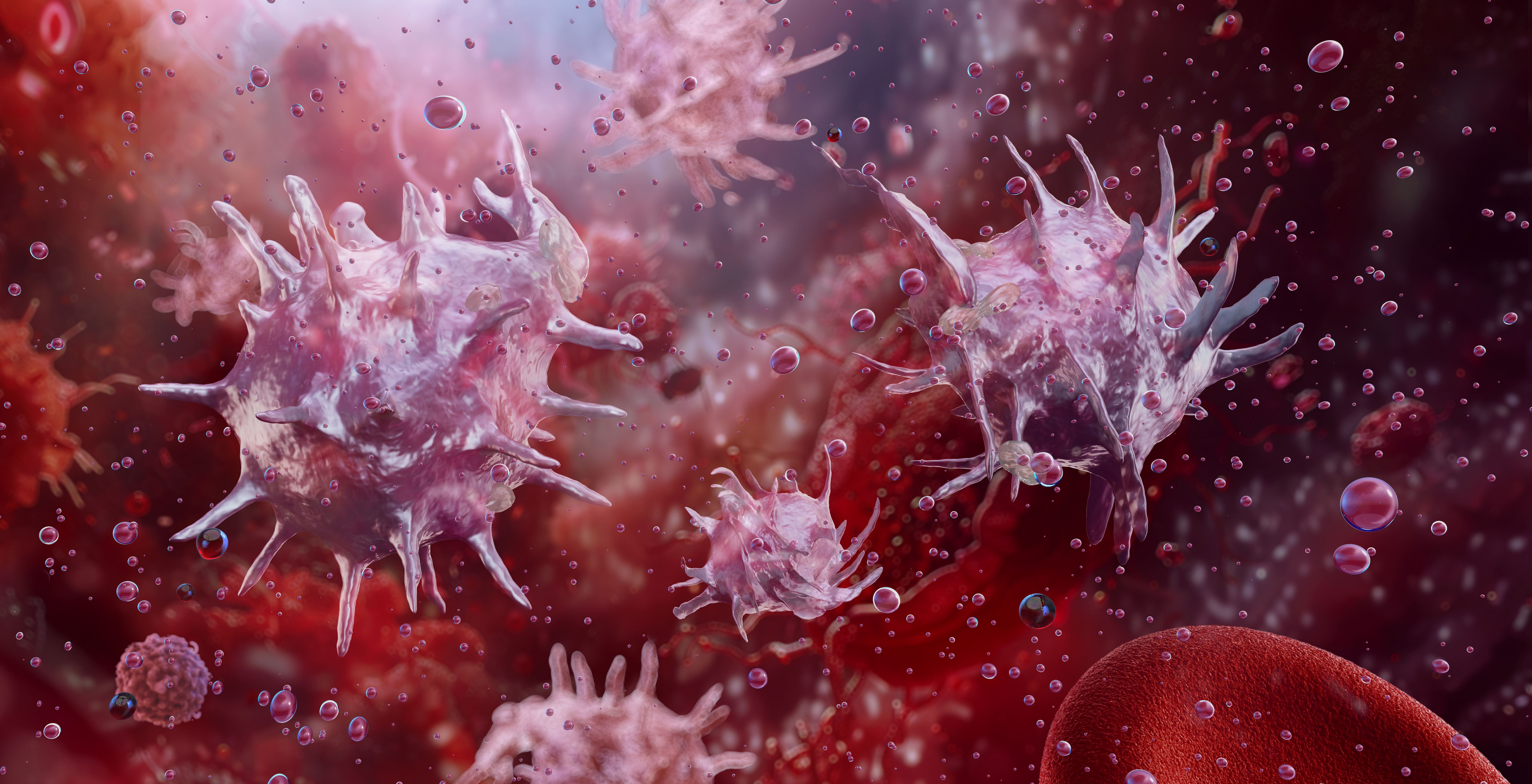 3D rendering of platelets | Image Credit: © Corona Borealis - stock.adobe.com