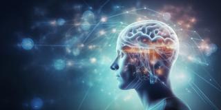 Image credit: сергей костюченко | stock.adobe.com - human head with brain