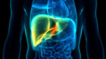 X-ray image of human liver -- Image credit: magicmine | stock.adobe.com