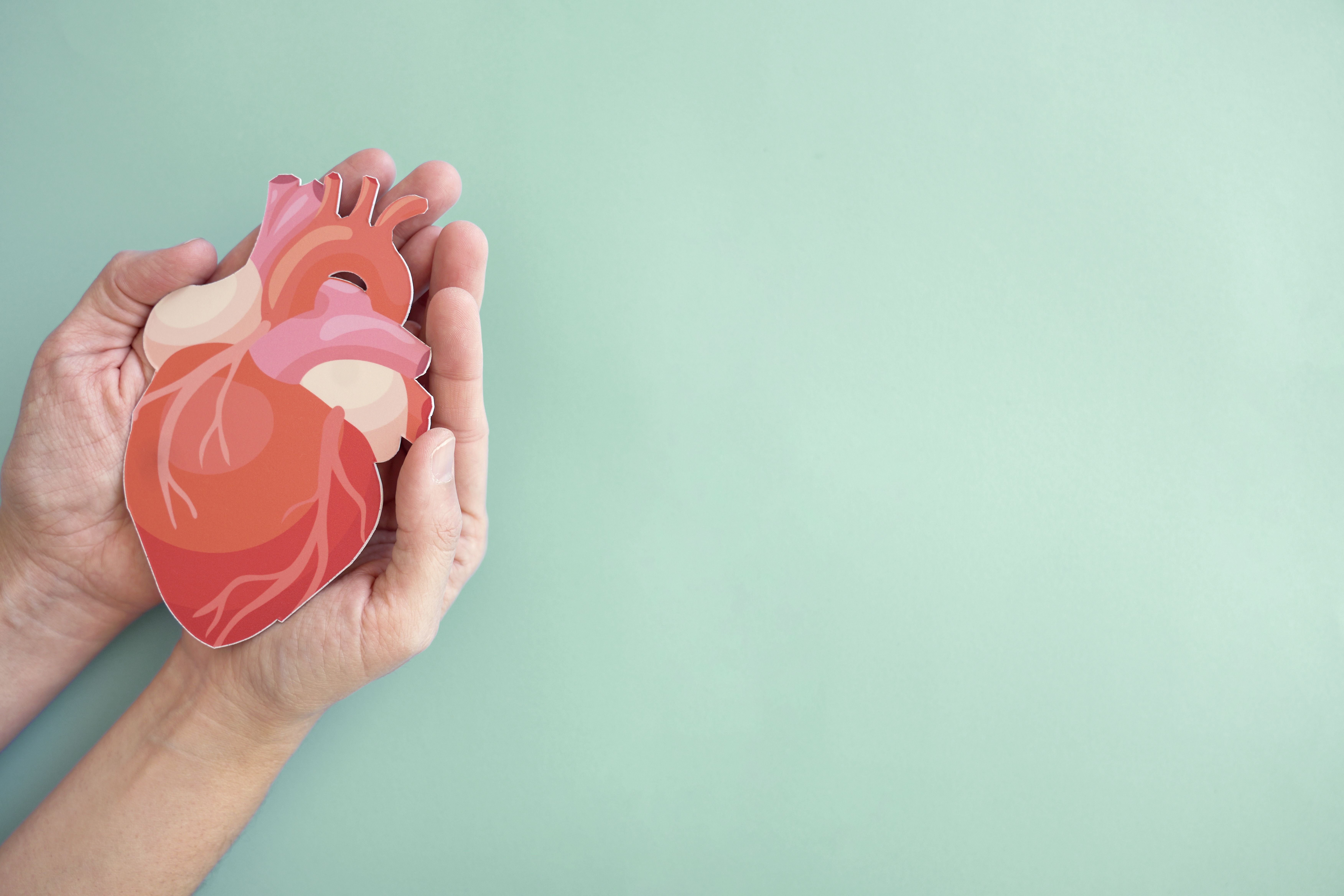 Person holding a paper cut-out of a heart Image credit: SewcreamStudio | stock.adobe.com