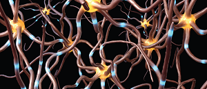 Pain Management: Individualized Therapy Is Key