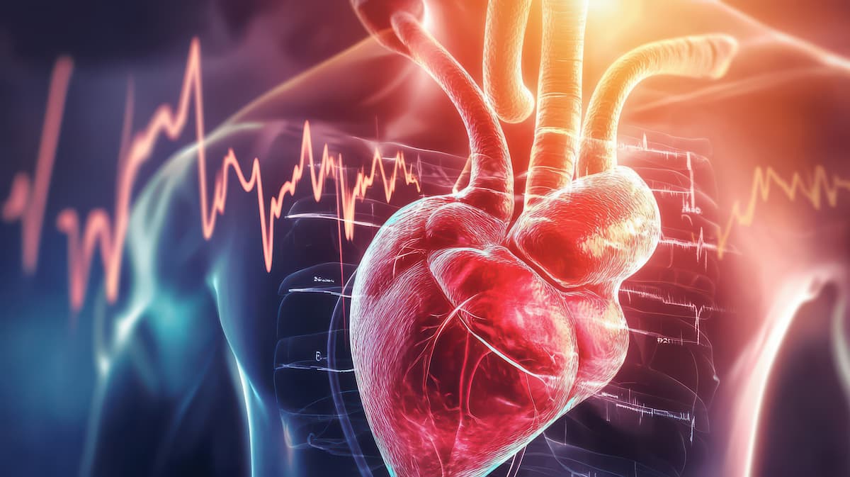 edical illustration of a human heart with surrounding arteries, highlighted in vibrant colors, showing detailed anatomy and heart activity. Ideal for educational, medical, and scientific purposes.