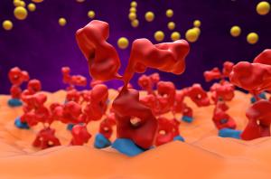 FDA Approves Zilucoplan Autoinjector for Myasthenia Gravis