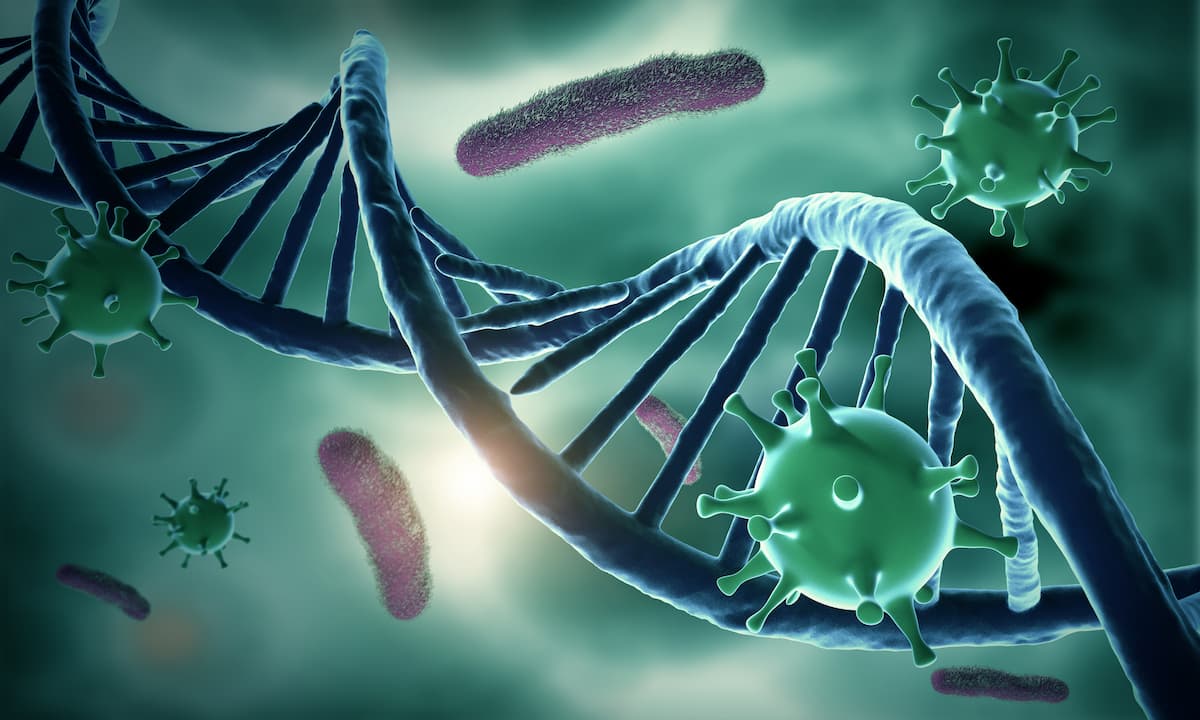 DNA structure and HIV-infected