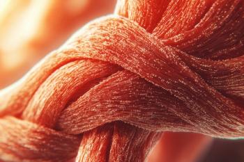 3D close-up of skeletal muscle fibers | Image Credit: © whitestorm - stock.adobe.com