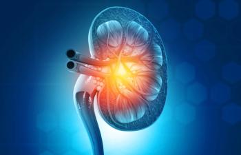 Chronic kidney disease (CKD) -- Image credit: Rasi | stock.adobe.com