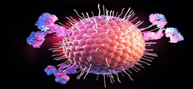 Study: Varicella Zoster Virus Has Evolved to Manipulate Immune Response