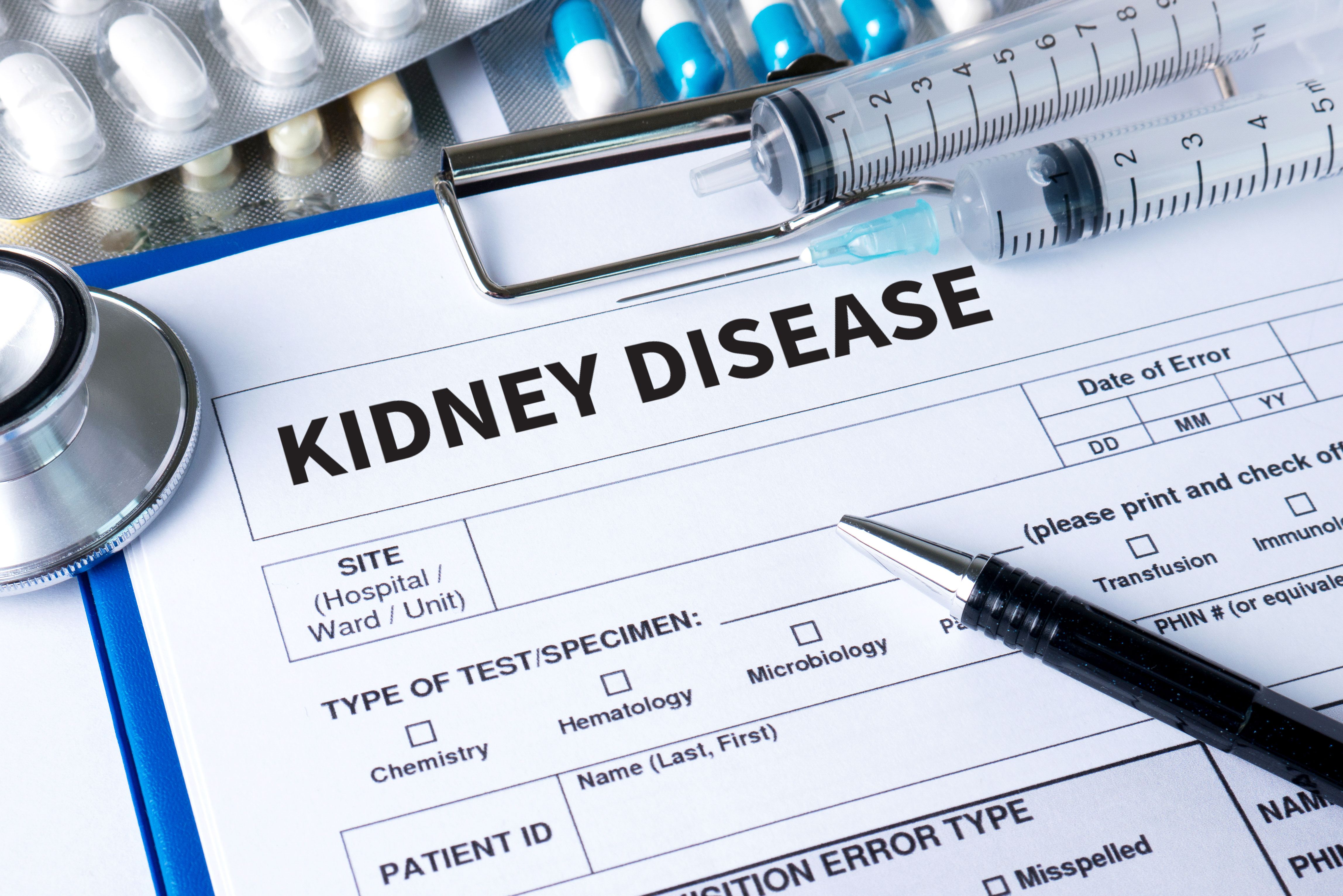 Diagnosis papers reading "kidney disease" -- Image credit: onephoto | stock.adobe.com