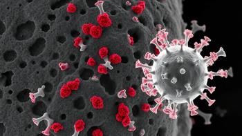 Immune evasion (pneumococci) Immunoscopic examination of the pneumococcal capsule: - Polysaccharide mantle (halo effect) obscures surface proteins - Complement C3b proteins (red) fail to clear 
