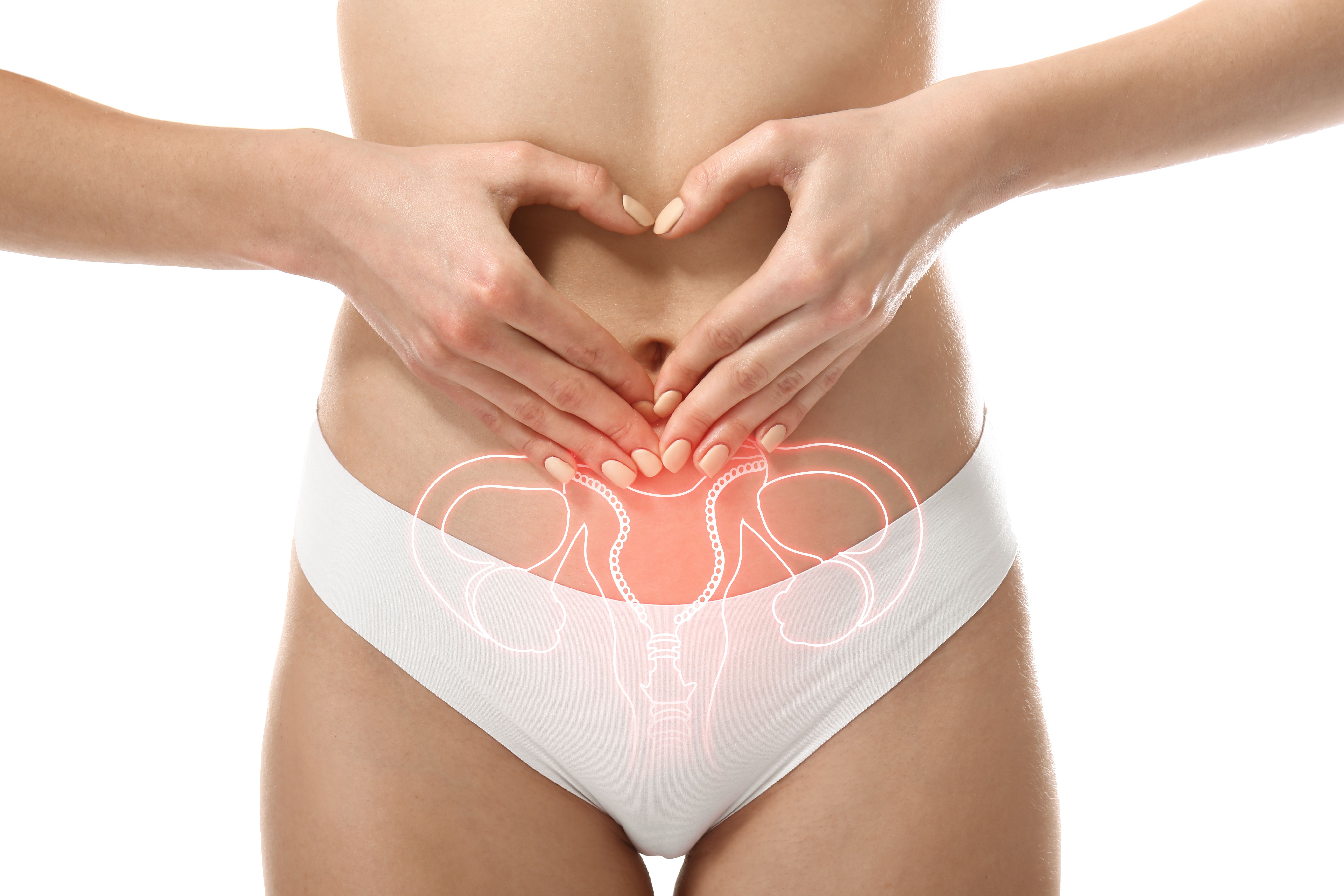 Outline of a uterus on a woman's torso | Image Credit: © Pixel-Shot - stock.adobe.com