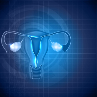 Pharmacist Medication Insights: Myfembree for Heavy Menstrual Bleeding