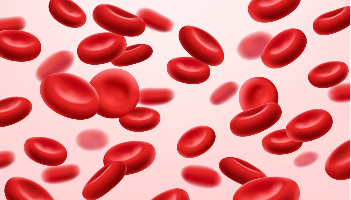 Flowing red blood cells, erythrocyte on white background, health care concept