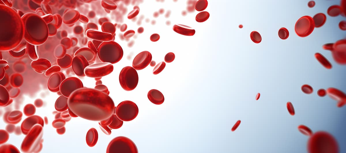 blood cells wave on white background, leukocytes, erythrocytes bloodstream