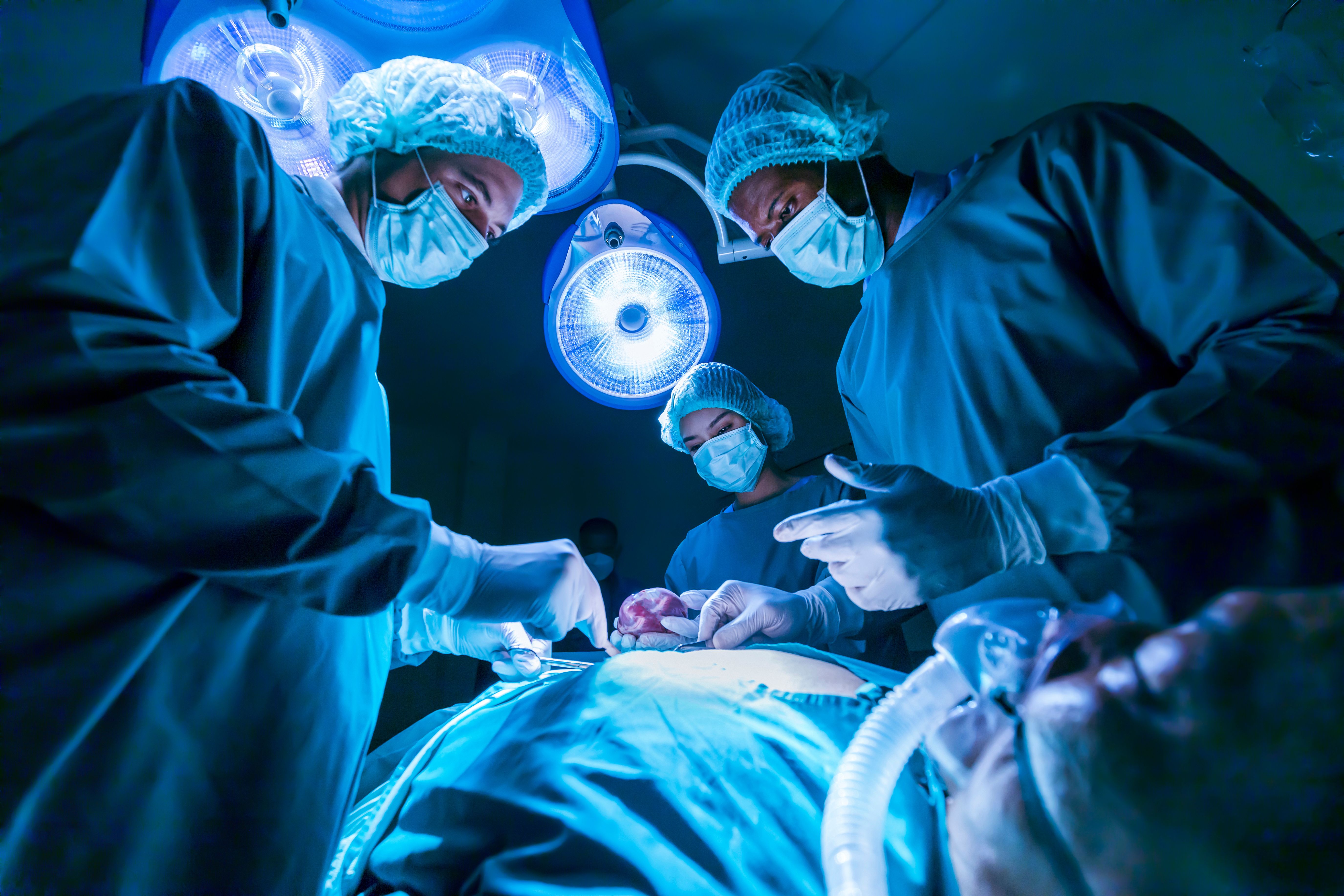 Patient undergoing organ transplant -- Image credit: Akarawut | stock.adobe.com