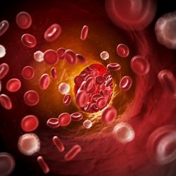 How to Counteract the Contributing Factors to Early Vascular Aging