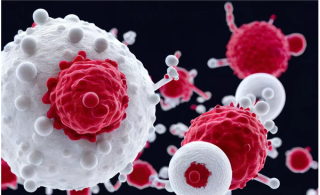 Credit: AkuAku - stock.adobe.com