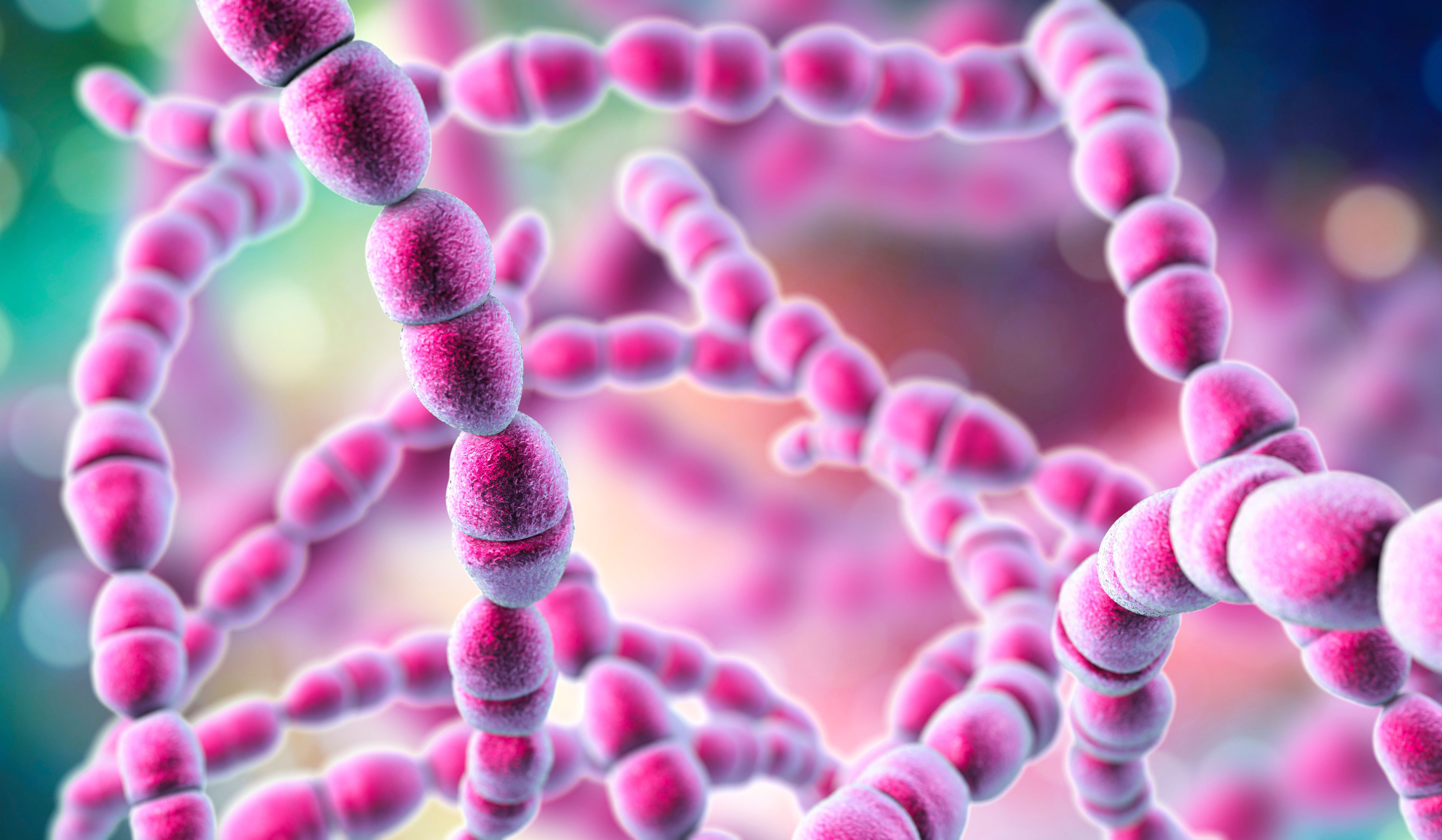 Image credit: Dr_Microbe - stock.adobe.com