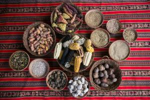 Traditional Foods as Medicine: Research Revolutionizes Heart Failure Care in the Navajo Nation