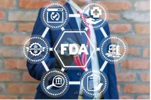 Image credit: wladimir1804 | stock.adobe.com