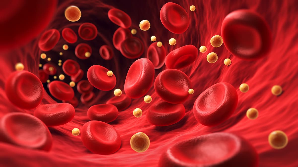 Red Blood Cells in an Artery, Blood Cell with Cholesterol, 3d illustration