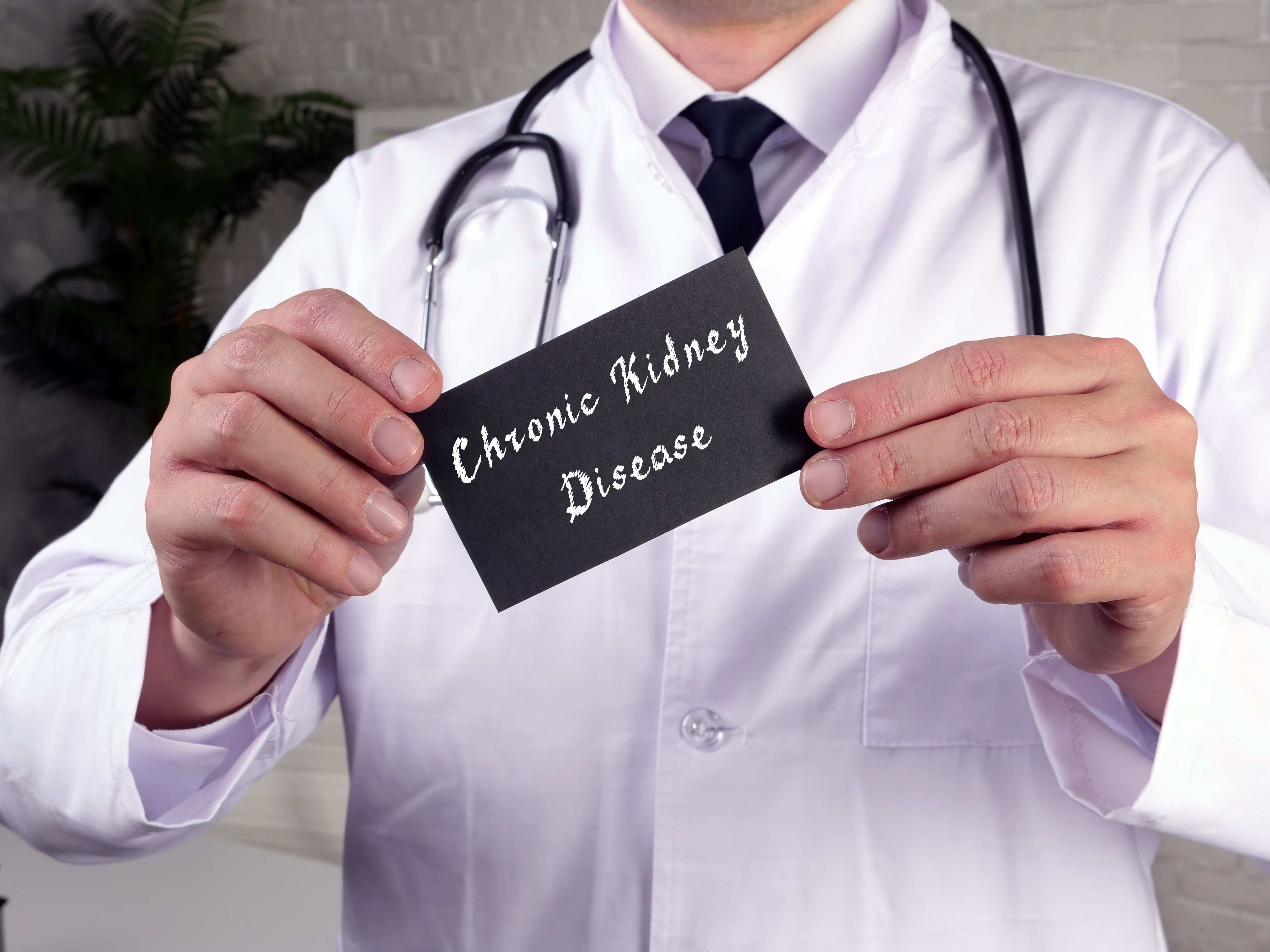Chronic kidney disease (CKD) -- Image credit: Yurii Kibalnik | stock.adobe.com