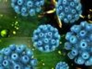 Hepatitis C Combo Effective in Treatment-Naive Patients With Compensated Cirrhosis