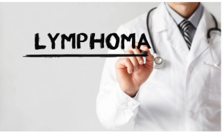 MP Studio - stock.adobe.com