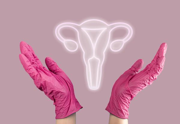 Doctor hands around uterus | Image Credit: © valiantsin - stock.adobe.com