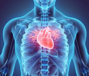 X-ray scan of heart -- Image credit: yodiyim | stock.adobe.com