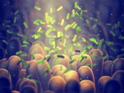 Investigative Treatment for C. Diff Aims to Restore Microbiome, Bile Acid