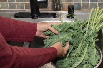 Person washing produce to avoid cyclosporiasis infection -- Image credit: Deborah | stock.adobe.com