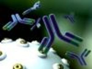 Elotuzumab Combination Therapy Shows Promise in Previously Treated Multiple Myeloma